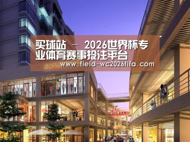案例展示一(图1)
