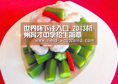 2026世界杯投注站