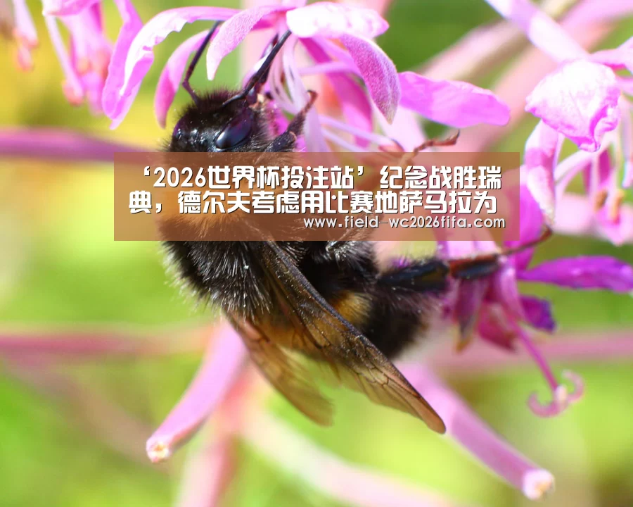 ‘2026世界杯投注站’纪念战胜瑞典,德尔夫考虑用比赛地萨马拉为小女儿命名(图3) 世界杯下注入口